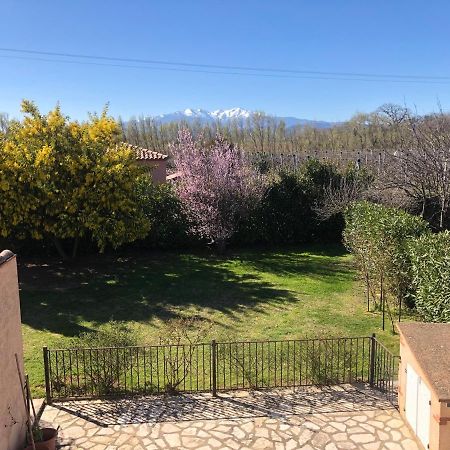 Au Mimosa -Gite Le Canigou Passa Eksteriør billede