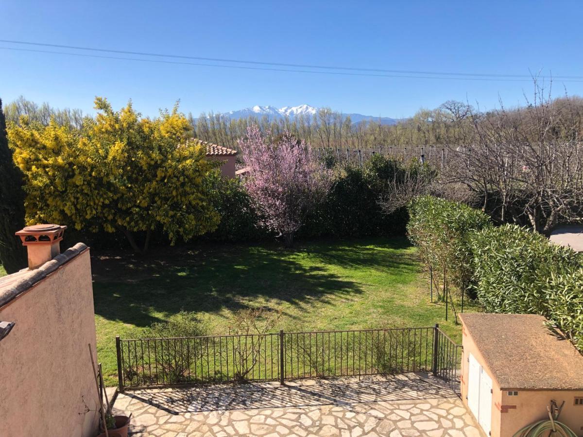 Au Mimosa -Gite Le Canigou Passa Eksteriør billede