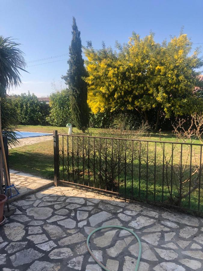 Au Mimosa -Gite Le Canigou Passa Eksteriør billede